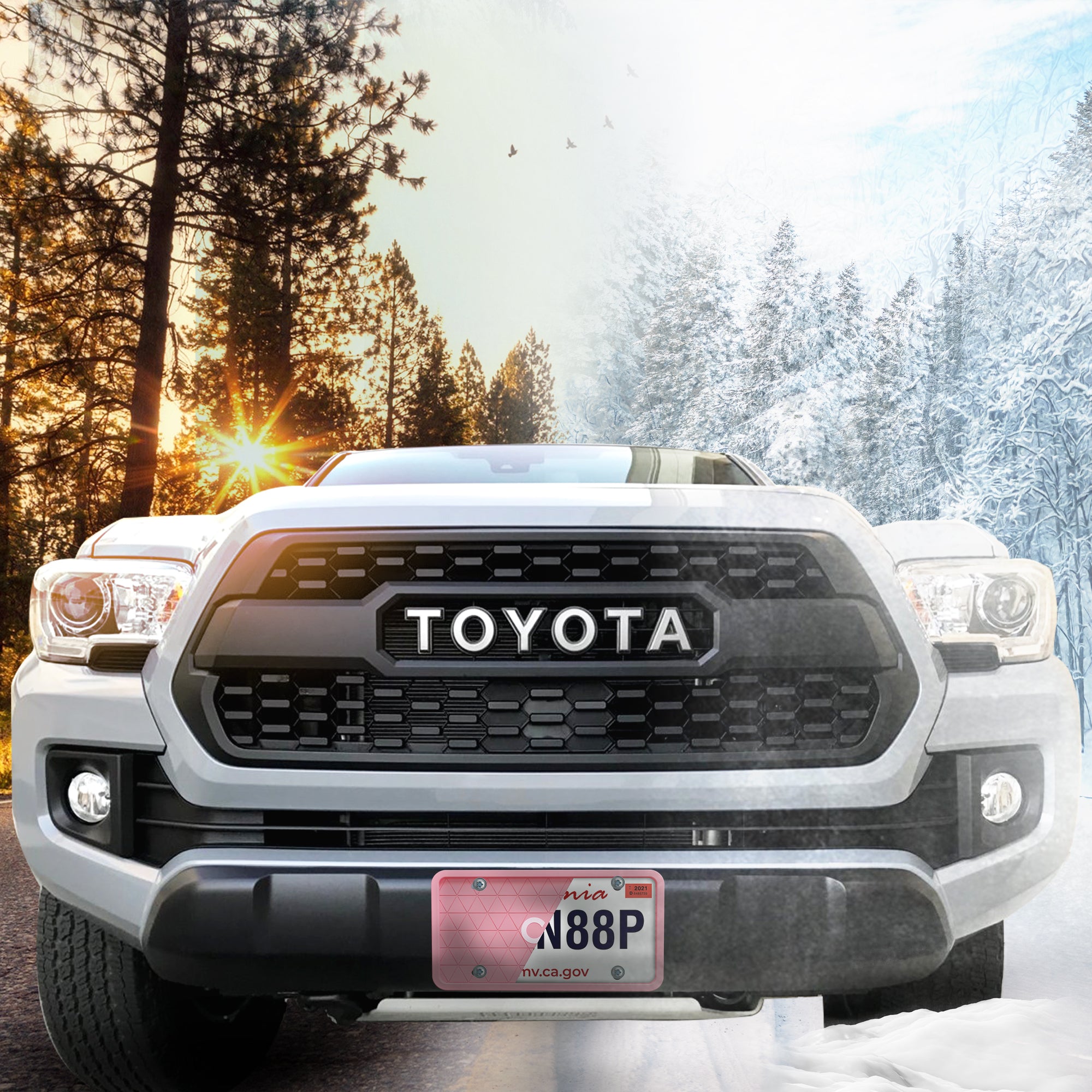 Pink License Plate Frame - Protects from Scratches | No-Rattle Fit Silicone Cover for US Plates - 2pcs