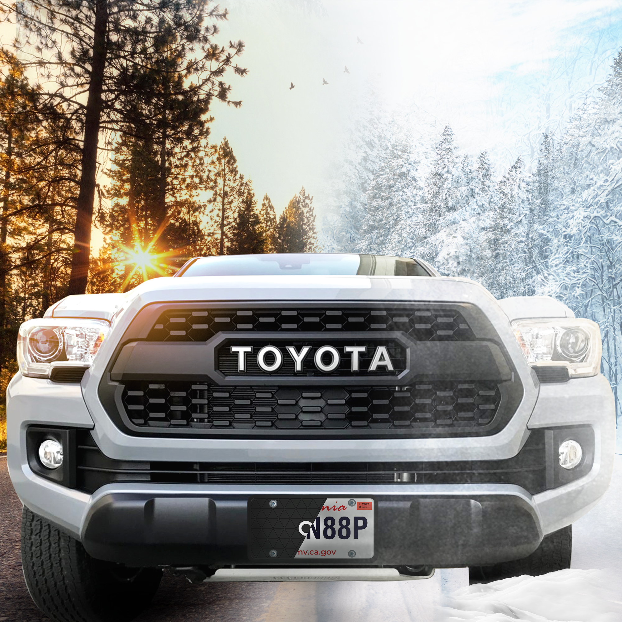 Black License Plate Frame - Protects from Scratches | No-Rattle Fit Silicone Cover for US Plates - 2pcs